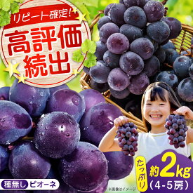 【ふるさと納税】期間限定/8月下旬〜9月上旬頃発送 沼隈ぶどう「ピオーネ」 約2kg 4〜5房（種なし） 広島県福山市/福山市農業協同組合　沼隈グリーンセンター ぶどう ブドウ 葡萄 種なし 大粒 ピオーネ[BAEV002]