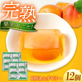 【ふるさと納税】ゼリー 瀬戸内果実ぜりぃ 田尻あんずゼリー 12個入り ゼリー フルーツ デザート おやつ お菓子 スイーツ 甘い 広島県福山市/有限会社勉強堂[BAFL004]