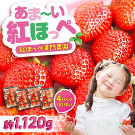 【ふるさと納税】紅ほっぺ 280g×4パック 2026年1月以降順次発送 おすすめ 人気 送料無料 産地直送 新鮮 甘い 大粒 ブランドいちご 詰め合わせ 贈り物 いちご 苺 イチゴ 紅ほっぺ フルーツ 紅ほっぺ ストロベリー 広島県福山市/立花いちご農園[BAFN001]
