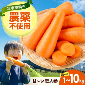 【ふるさと納税】【先行予約/2026年11月中旬より順次発送】【選べる容量】人参 にんじん 野菜 やさい 旬の野菜 旬 季節 新鮮 採れたて 広島県福山市/しもみん農場[BAGT001]