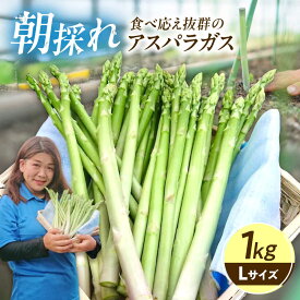 【ふるさと納税】アスパラガス 1kg 広島県福山市/稲葉ライスセンター ふるさと納税 アスパラ 1kg 令和8年産 送料無料 野菜 アスパラ ふるさと納税 アスパラガス 広島県産 産地直送[BAHB001]