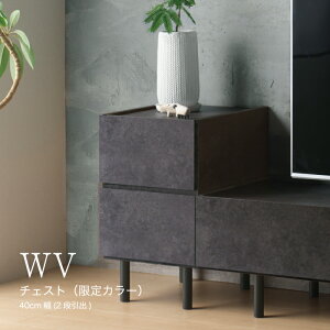 yӂ邳Ɣ[Łz`FXg WV-40LmNo.630n^ er{[h  [  L