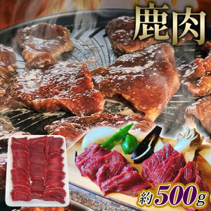 yӂ邳Ɣ[Łz@XCX@500gmNo.1126n^ VR  VJ  VJ  WrG  쐶 Ă ē 痿  wV[  L