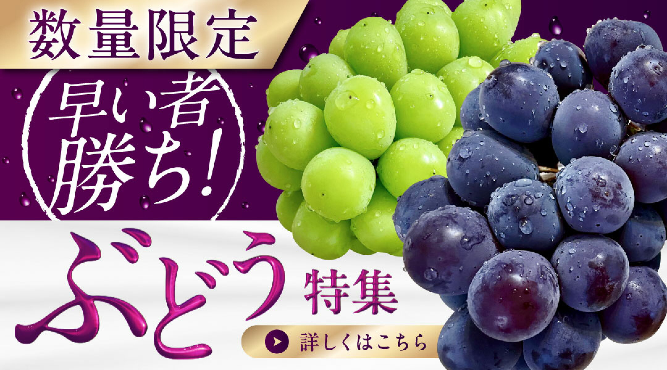 先行予約はじめました！来年に向けて農家さんもがんばってます！