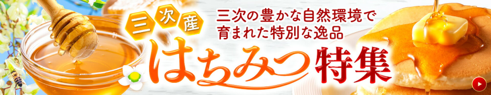 ふるさと納税 三次産 はちみつ特集