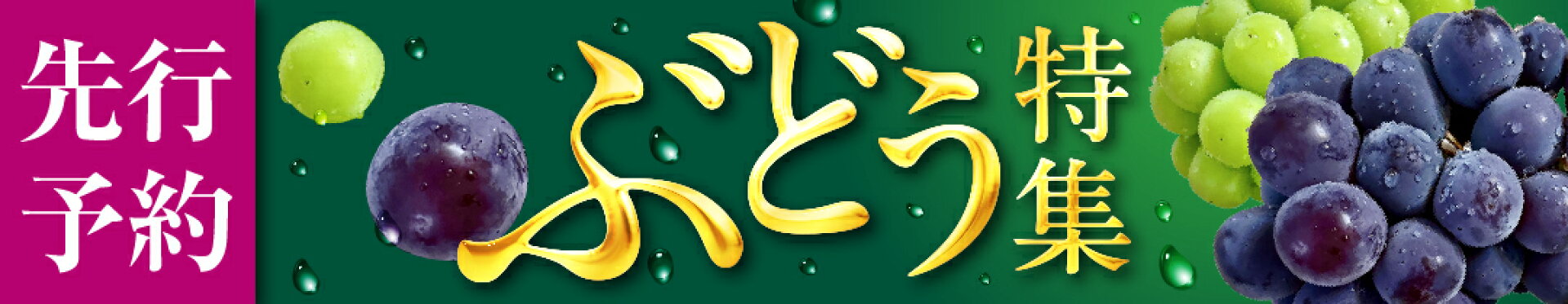 ふるさと納税 ぶどう先行予約特集