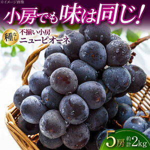 �y�ӂ邳�Ɣ[�Łz�y2026�N��s�\��z �j���[�s�I�[�l 5�[�i��2kg�j ��8�����{�����珇�������� �Ԃǂ� �󂠂� �s���� ���[�s���� �ƒ�p ��Ȃ� �j���[ �s�I�[�l �t���[�c �ʕ� �Ԃǂ� �u�h�E 