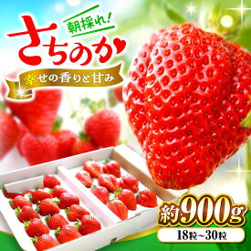 【ふるさと納税】【数量限定70個】いちご＜1月上旬から順次発送＞ 大前農園の完熟いちご（さちのか）いちご 苺 イチゴ さちのか ベリー フルーツ ストロベリー 贈答 ギフト 贈り物 プレゼント 広島 三次 ふるさと納税 15,000円 三次市/大前農園[APAS001]