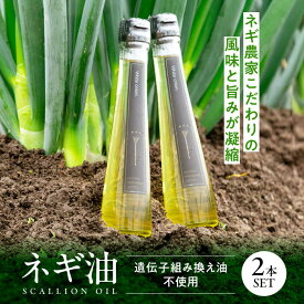【ふるさと納税】 ネギ 白ネギ農家が作る ネギ油 2本セット ネギ ねぎ ねぎ油 香味油 調味料 調味油 ギフト 贈り物 贈答 プレゼント オイル 農家 人気 おすすめ お取り寄せ 特産品 産地直送 送料無料 広島 三次 三次市 / Agri Lore Lab.[APAT001]