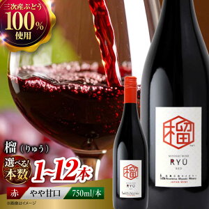 �y�ӂ邳�Ɣ[�Łz�y�I�ׂ�e�ʁz�y�X�s�[�h�����z���C�� �� �`��イ�` RYU 750ml �ԃ��C�� ���C�� ���Ì� �M�t�g �� ���Y���C�� ���{���C�� �� �����񂹊Ì� ���{���C�� ������ �`�[�Y �n