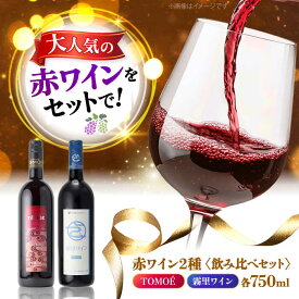 【ふるさと納税】おすすめ 赤ワイン 2本セット 霧里ワイン TOMOE マスカットベーリーA 国産 やや甘口 ワイン 受賞 飲み比べ ワインセット ギフト 三次市 / 広島三次ワイナリー[APAZ009]