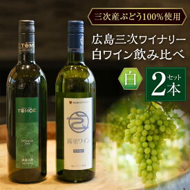 【ふるさと納税】おすすめ 白ワイン 2本セット 霧里ワイン やや甘口 TOMOE デラウェア やや辛口 ワイン 受賞 飲み比べ ワインセット ギフト 三次市 / 広島三次ワイナリー[APAZ010]