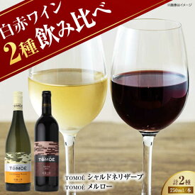 【ふるさと納税】【先行予約】【8月中旬から順次発送】 TOMOEワイン2本セット D ワイン 受賞 飲み比べ ワインセット ギフト 三次市 / 広島三次ワイナリー[APAZ026]