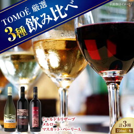 【ふるさと納税】【先行予約】 厳選TOMOEワイン3本セット ＜10月上旬より順次発送＞ ワイン 受賞 飲み比べ ワインセット セット 日本ワイン 国産 ギフト 赤ワイン 白ワイン 甘口 辛口 贈答 ギフト プレゼント 取り寄せ 洋酒 アルコール 三次市 / 広島三次ワイナリー[APAZ033]