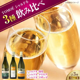 【ふるさと納税】【先行予約】【8月中旬から順次発送】シャルドネ TOMOEワイン 飲み比べ 各750ml 3本セット 白ワイン 受賞 ワインセット ギフト 三次市 / 広島三次ワイナリー[APAZ034]