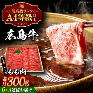 yӂ邳Ɣ[ŁzyS6ցzL  Ԃԗp 300g Os / LOCi[[APAZ067]