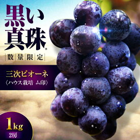 【ふるさと納税】【数量限定】【先行予約】【7月中旬以降順次発送】 三次ピオーネ ハウス栽培ム印 1kg （2房） 80セット限定 ぶどう ピオーネ 葡萄 ブドウ フルーツ 果物 三次市 / 三次ピオーネ生産組合 [APBD001]