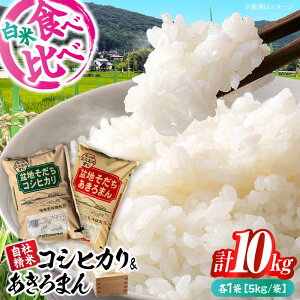 yӂ邳Ɣ[Łzy11{珇z  V Ђ5kg  ܂5kg Hה׃Zbg 10kg ߘa7NY    Os / c_[APBM013]