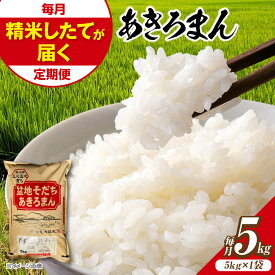 【ふるさと納税】あきろまん 5kg【選べるお届け回数 / スピード発送】米 盆地そだち 令和7年産 米 こめ 白米 精米 ご飯 お米 ごはん 5キロ ブランド米 小分け アキロマン おいしい 広島県産 国産 お取り寄せ 贈答 お誕生日 誕生日 人気 おすすめ 三次市 / 福田農場[APBM019]