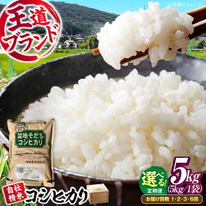 �y�ӂ邳�Ɣ[�Łz�y�I�ׂ邨�͂��񐔁z�� �~�n�����������Ђ��� 5kg �ߘa7�N�Y �� ���� ���� ���� ���� �� ���� �R�V�q�J�� ������ ���͂� 5�L�� ������ �����Ђ��� �L�����Y ���Y �Y�� �����