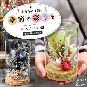 yӂ邳Ɣ[ŁzyIׂ^CvzhCt[ {gAWM i`orVbN Os/ iolite flowers[APBT004] hCt[  vU[uht[ AWg t[A