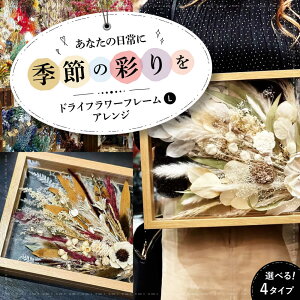 yӂ邳Ɣ[ŁzyIׂ^CvzhCt[ t[AWLiIׂ4^Cvj Os/ iolite flowers[APBT009] hCt[  vU[uht[ AWg t[A