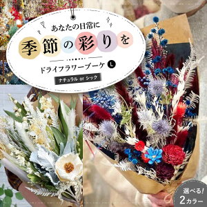 yӂ邳Ɣ[ŁzyIׂ^CvzhCt[ u[PL i`orVbN Os/ iolite flowers[APBT011] hCt[  vU[uht[ AWg t[AW