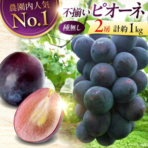 �y�ӂ邳�Ɣ[�Łz�Ԃǂ��y2026�N��s�\��z��8�����{���珇���������y�󂠂�z �s�I�[�l 1kg�i2�[�j| �Ԃǂ� ���� �u�h�E �t���[�c �ʕ� �������� �������� �󂠂� �s�I�[�l �������� �l�C 9000