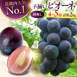 �y�ӂ邳�Ɣ[�Łz�Ԃǂ� �y2026�N��s�\��z��8�����{���珇���������y�󂠂�z �s�I�[�l 2kg�i4�`5�[�j | �Ԃǂ� ���� �u�h�E �t���[�c �ʕ� �������� �������� �������� �l�C �ʎ� 14000�~ �L