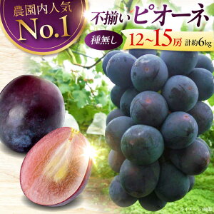 yӂ邳Ɣ[ŁzԂǂ y2026Ns\z8{珇y󂠂z sI[l 6kgi1215[j | Ԃǂ  uhE t[c ʕ   lC 37000~ Os/ŏ_