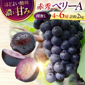 【ふるさと納税】【先行予約】【9月上旬から9月下旬に順次発送】 ぶどう ベリーA 2kg（4〜6房） | 赤秀 ぶどう 葡萄 フルーツ 果物 くだもの 甘い デザート ランキング おいしい 三次市/芝床農園[APCK005]