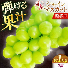 【ふるさと納税】【先行予約】【9月中旬から9月末に順次発送】 ぶどう シャインマスカット 1kg（2房 赤秀） 露地栽培 シャインマスカット マスカット 果物 くだもの フルーツ ぶどう 葡萄 三次市/西田ぶどう園[APCM001]