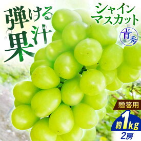 【ふるさと納税】【先行予約】【9月中旬から9月末に順次発送】 ぶどう シャインマスカット 1kg（2房 青秀） 露地栽培 シャインマスカット マスカット 果物 フルーツ くだもの ぶどう 葡萄 三次市/西田ぶどう園[APCM002]