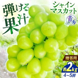 【ふるさと納税】【先行予約】【9月中旬から9月末に順次発送】 ぶどう シャインマスカット 2kg（4房から5房 青秀） 露地栽培 シャインマスカット マスカット 果物 フルーツ ぶどう 葡萄 三次市/西田ぶどう園[APCM004]