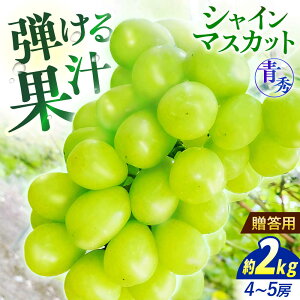 �y�ӂ邳�Ɣ[�Łz�Ԃǂ��y2026�N��s�\��z��9�����{���珇�������� �V���C���}�X�J�b�g 2kg�i4�[����5�[ �G�j �I�n�͔| �V���C���}�X�J�b�g �Ԃǂ� ���� �u�h�E �������� �l�C ���� 19000�~ 