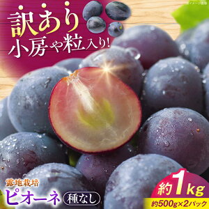 yӂ邳Ɣ[Łzy󂠂zsI[l 1kgi500g×2pbNj | In͔| Ԃǂ ʕ sI[l t[c  uhE Â fU[g LO  Os/cԂǂ[APCM006]