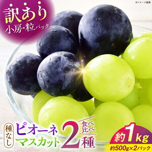 yӂ邳Ɣ[Łzy󂠂zsI[l VC}XJbg 2Zbg v1kgie500g×1pbNj | In͔| Ԃǂ ʕ sI[l }XJbg t[c  uhE Â fU[g  