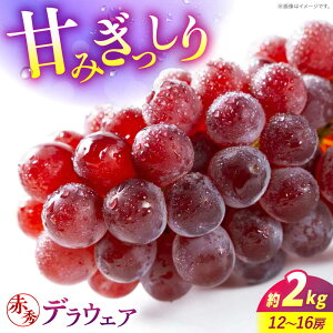 �y�ӂ邳�Ɣ[�Łz�Ԃǂ��y2026�N��s�\��z��8����{���珇�������� �f���E�F�A 2kg�i12����16�[�j �ԏG �I�n�͔| �f���E�F�A �Ԃǂ� ���� �u�h�E �t���[�c �ʕ� �l�C �������� �M�t�g 14000�~ 