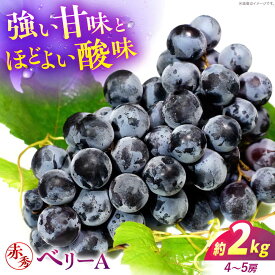 【ふるさと納税】ぶどう【2026年先行予約】＜9月上旬から順次発送＞ ベリーA 2kg（4から5房） 赤秀 露地栽培 ベリーA ぶどう 葡萄 ブドウ フルーツ 果物 くだもの 人気 おすすめ ギフト 12000円 三次市/西田ぶどう園[APCM011]