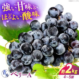 【ふるさと納税】【先行予約】【9月上旬から9月中旬に順次発送】 ぶどう ベリーA 2kg（4から5房） 青秀 露地栽培 マスカット ブドウ 果物 くだもの フルーツ ぶどう 葡萄 三次市/西田ぶどう園[APCM012]