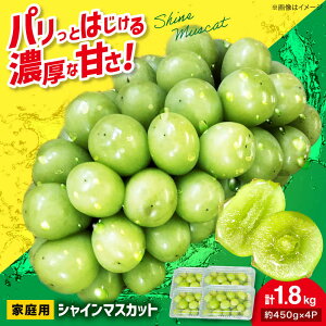 �y�ӂ邳�Ɣ[�Łz�V���C���}�X�J�b�g�y2026�N��s�\��z��9�����{���珇���������y�ƒ�p�z �V���C���}�X�J�b�g �v1.8kg�i��450g×4�p�b�N�j ������ �}�X�J�b�g �Ԃǂ� �u�h�E ���ʍ͔| ���� 