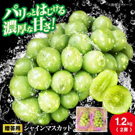 【ふるさと納税】シャインマスカット【2026年先行予約】＜10月上旬から順次発送＞【贈答用】 シャインマスカット 約1.2kg（2房） シャインマスカット ぶどう 葡萄 ブドウ フルーツ 果物 くだもの 広島産 三次市 / 辰巳農園[APCR003]