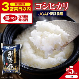 【ふるさと納税】こしひかり 5kg【スピード発送】【選べるお届け回数/発送月】 選べる すぐ届く コシヒカリ こしひかり 米 5kg 5キロ お米 こめ おこめ コメ 白米 令和7年産 令和7年度米 ごはん ご飯 精米 お歳暮 お中元 定期便 送料無料 三次市 / アグリ君田 [APDC001]