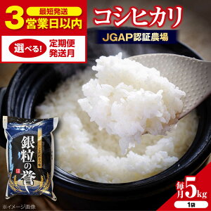 �y�ӂ邳�Ɣ[�Łz�y�X�s�[�h�����z�y�I�ׂ邨�͂���/�������z�����Ђ��� 5kg �R�V�q�J�� �����Ђ��� �� 5kg 5�L�� ���� �V�� ���� ������ �R�� ���� �ߘa7�N�Y �ߘa7�N�x�� ���͂� ���� ���� 