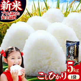 【ふるさと納税】【令和7年産米】こしひかり 5kg 三次市/アグリ君田[APDC001] コシヒカリ 米 5キロ お米 五キロ 新米 こめ おこめ コメ 白米 国産 令和7年産 令和7年度米 ごはん ご飯 精米 精白米 銘柄米 ギフト お歳暮 お中元 お祝い 内祝い 贈り物 プレゼント 産地直送