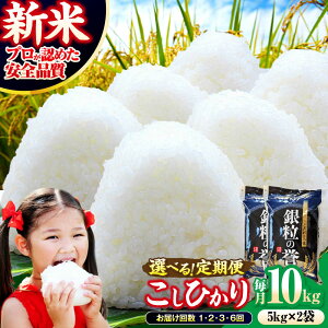 �y�ӂ邳�Ɣ[�Łz�����Ђ��� 10kg�i5kg×2�܁j�y�I�ׂ邨�͂���/�������z�y�ߘa7�N�Y�āz�y�X�s�[�h�����z �R�V�q�J�� �� 10�L�� ���� �V�� ���� ������ �R�� ���� ���Y �ߘa7�N ���͂� ���� 