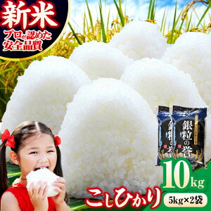 yӂ邳Ɣ[Łzyߘa7NYāzЂ 10kgi5kg×2܁jOs/AONc[APDC002] RVqJ  10L  \L V   R  Y ߘa7N ͂    M
