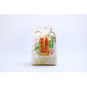 yӂ邳Ɣ[ŁzyցẑЂ10kg(Ђ)S3y4074311z