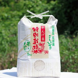 【ふるさと納税】夢のひかり 10kg(こしひかり)【1202446】