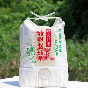 yӂ邳Ɣ[ŁẑЂ 10kg(Ђ)y1202446z